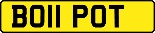 BO11POT