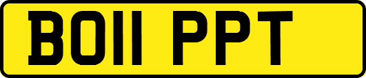 BO11PPT