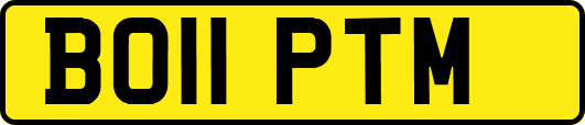 BO11PTM