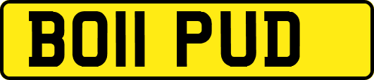 BO11PUD