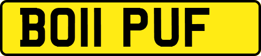 BO11PUF