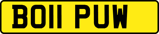 BO11PUW