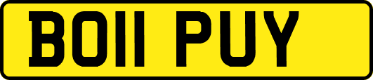 BO11PUY