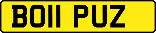 BO11PUZ
