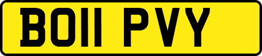 BO11PVY