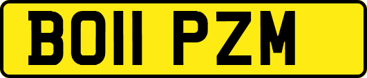 BO11PZM