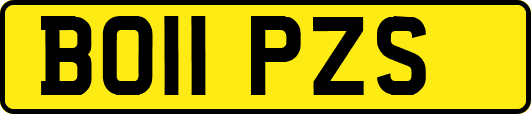 BO11PZS
