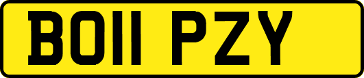 BO11PZY