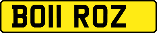 BO11ROZ