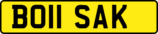 BO11SAK