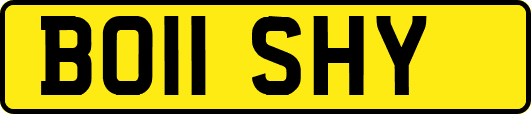 BO11SHY