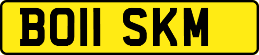 BO11SKM