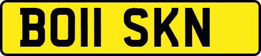 BO11SKN