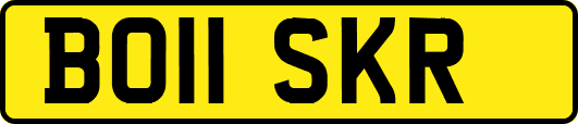 BO11SKR