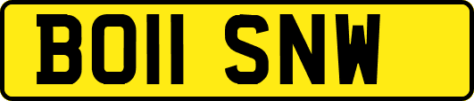 BO11SNW
