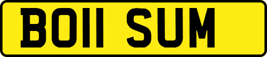 BO11SUM