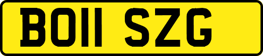 BO11SZG
