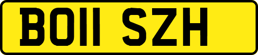 BO11SZH