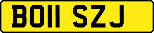 BO11SZJ
