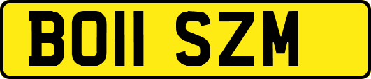 BO11SZM