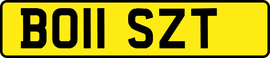 BO11SZT