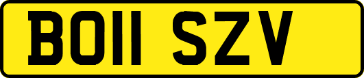 BO11SZV