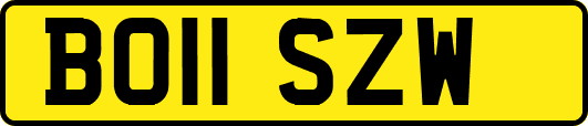 BO11SZW