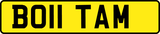 BO11TAM