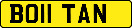 BO11TAN