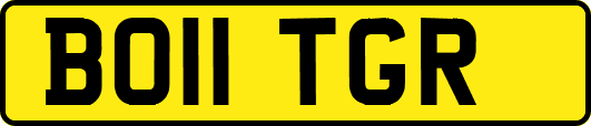 BO11TGR
