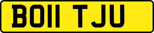 BO11TJU