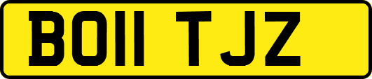 BO11TJZ