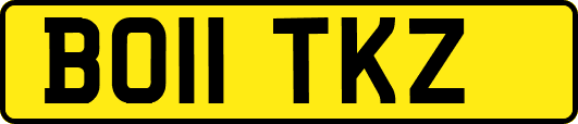 BO11TKZ