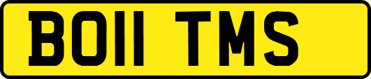 BO11TMS