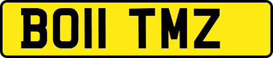 BO11TMZ
