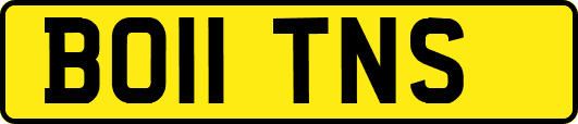 BO11TNS