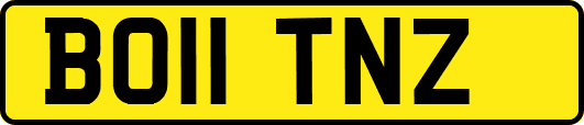 BO11TNZ