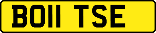 BO11TSE