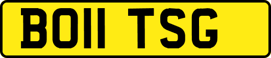 BO11TSG