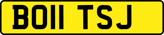 BO11TSJ