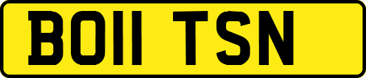 BO11TSN