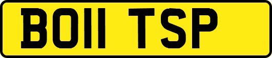 BO11TSP