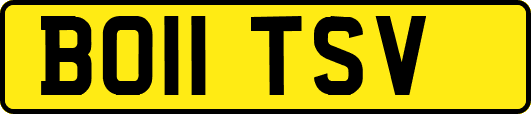 BO11TSV
