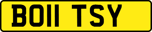 BO11TSY