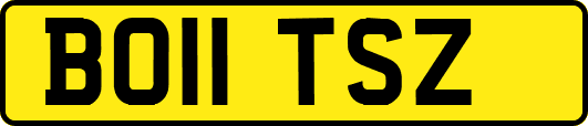 BO11TSZ