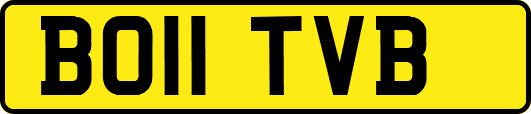 BO11TVB