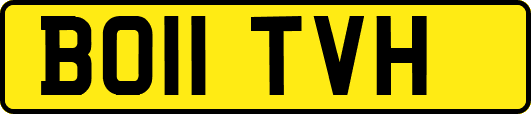 BO11TVH