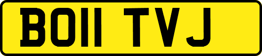 BO11TVJ
