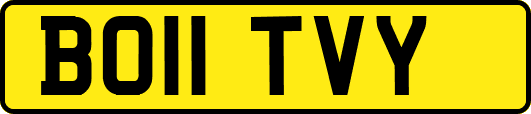 BO11TVY
