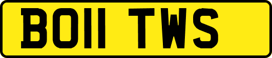 BO11TWS
